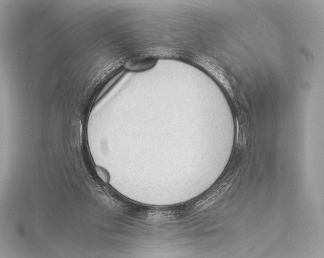 X0000115350109200912011100