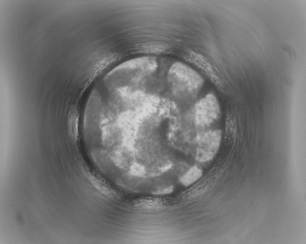 X0000115350110200912011100