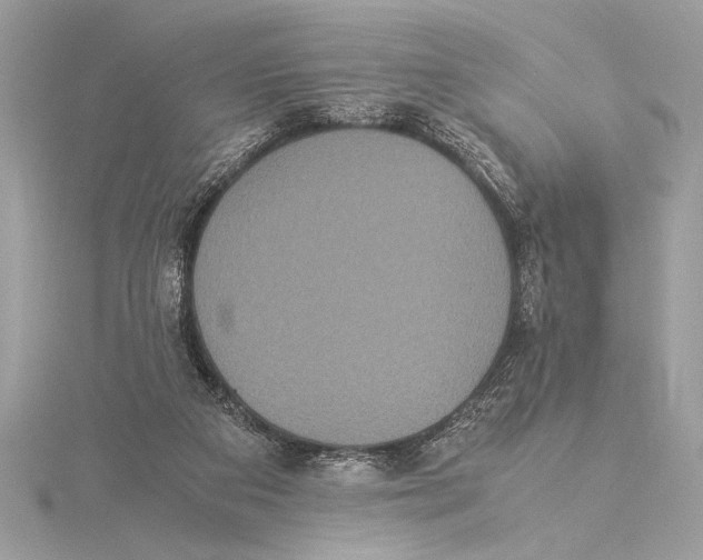 X0000115350113200912011100