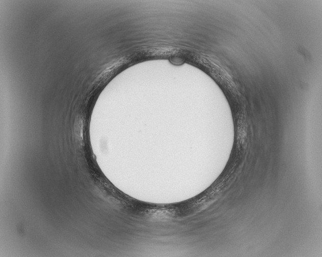 X0000115350115200912011100