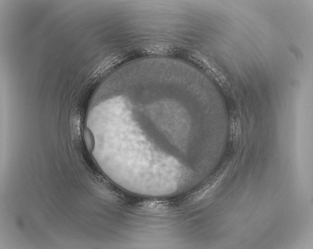 X0000115350117200912011100