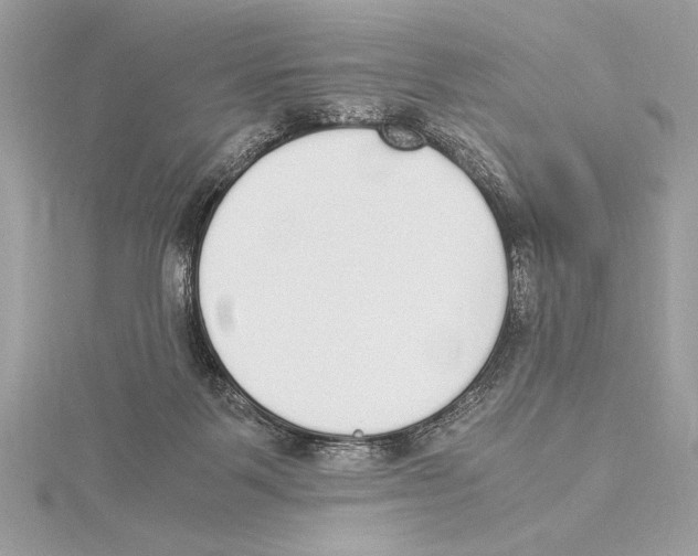 X0000115350123200912011100