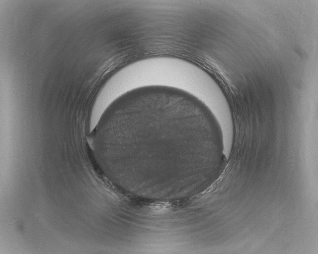 X0000115350124200912011100