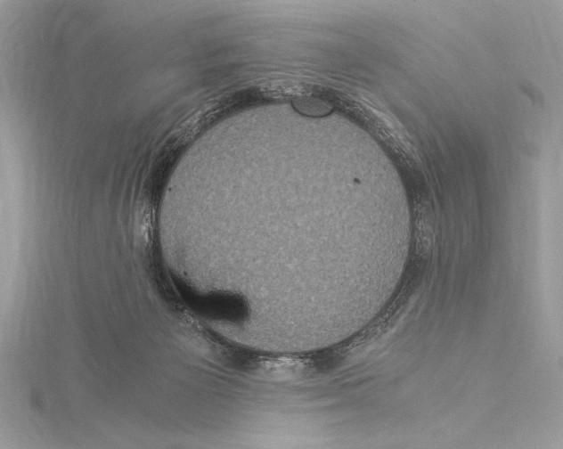 X0000115350125200912011100