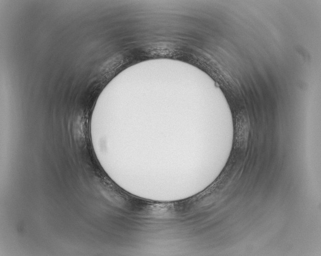 X0000115350126200912011100