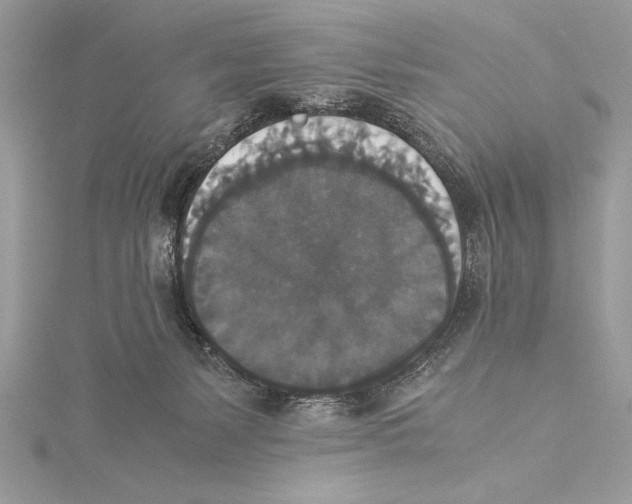 X0000115350127200912011100