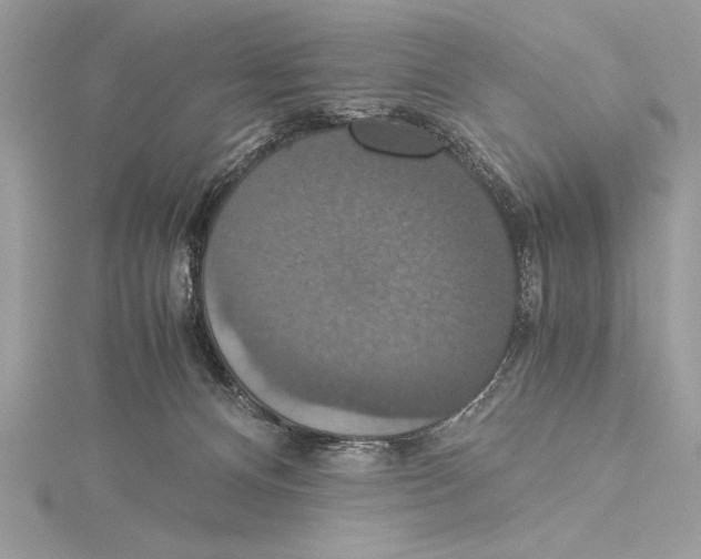 X0000115350128200912011100