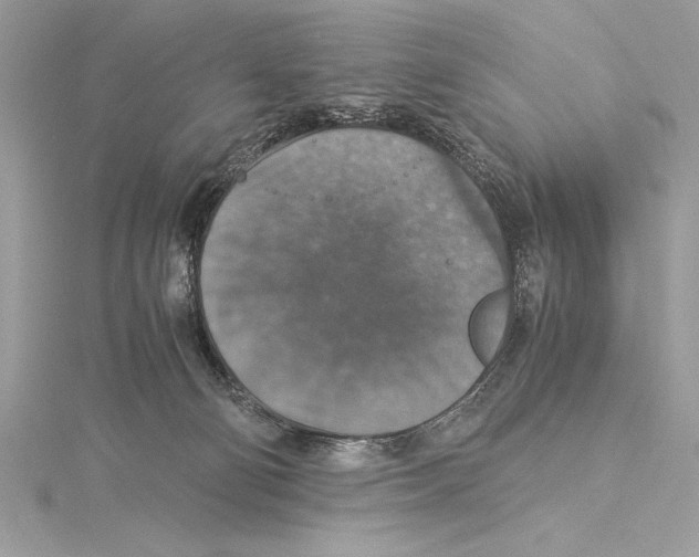 X0000115350130200912011100