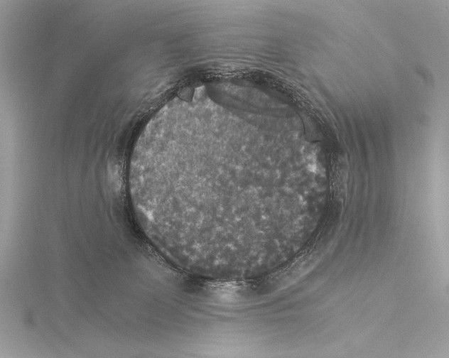 X0000115350131200912011100