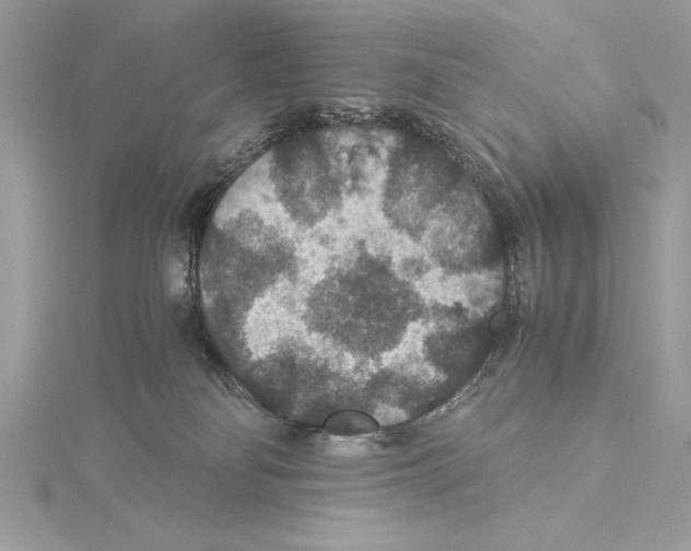 X0000115350134200912011100