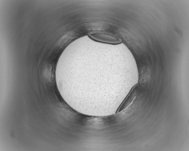 X0000115350140200912011100