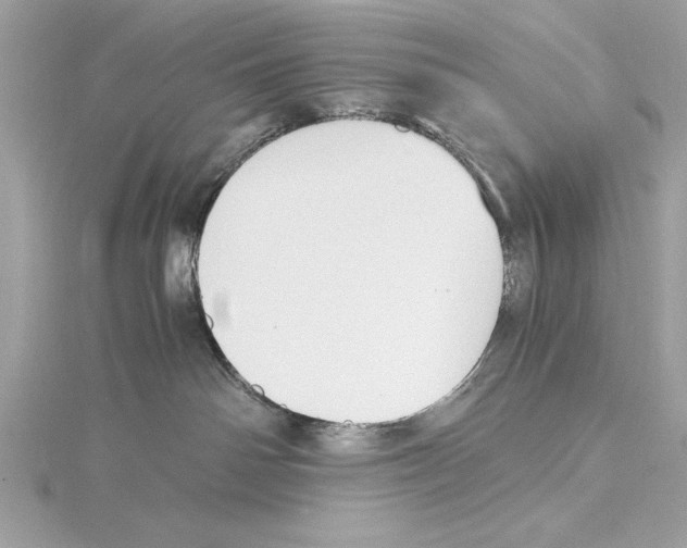 X0000115350142200912011100