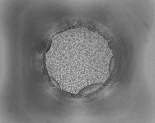 X0000115350144200912011100