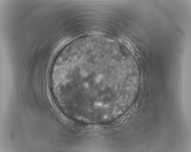 X0000115350145200912011059