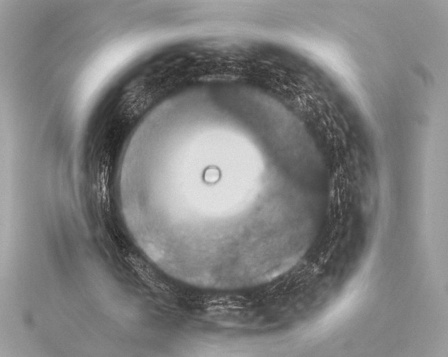 X0000115350146200912011059