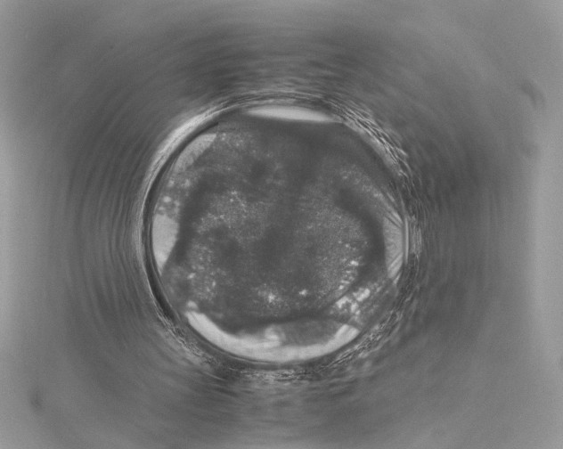 X0000115350147200912011059