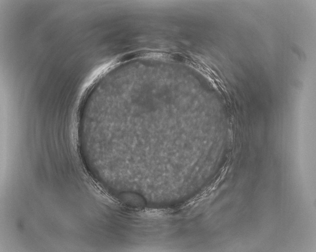 X0000115350149200912011059