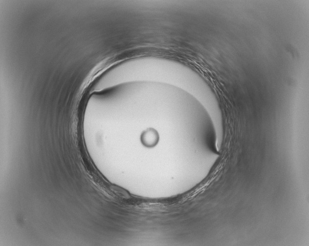 X0000115350150200912011059