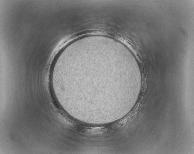 X0000115350151200912011059