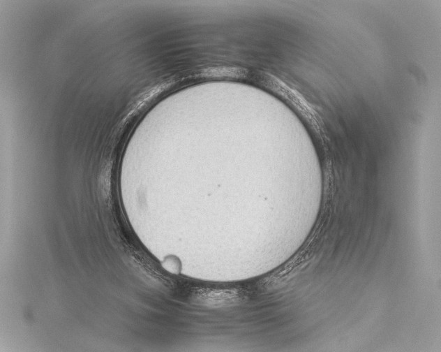 X0000115350155200912011059