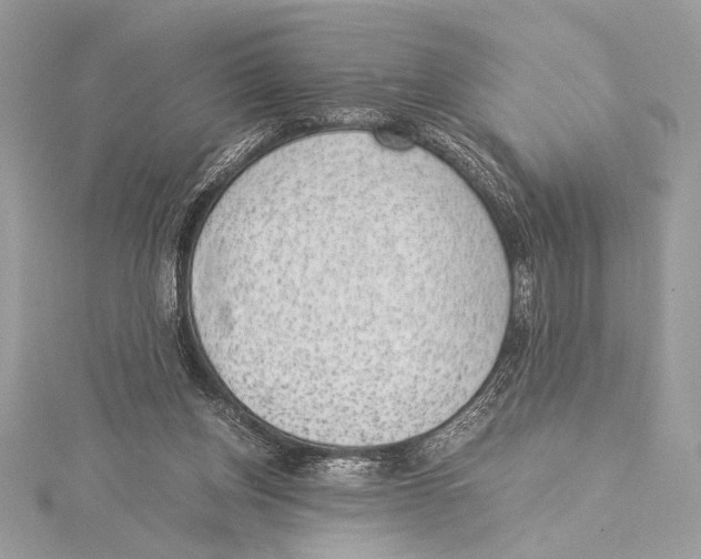 X0000115350158200912011059