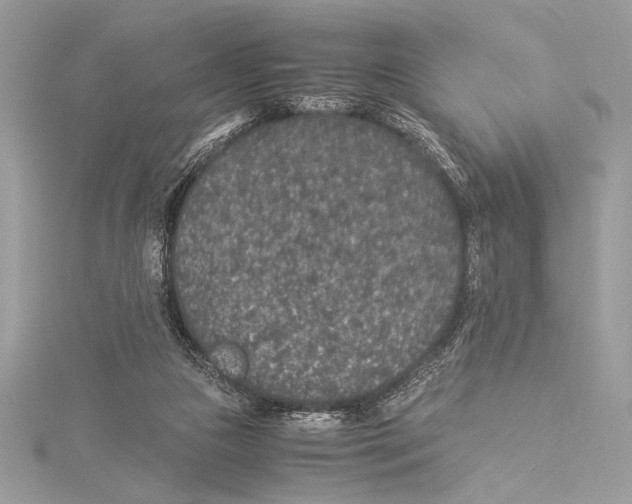 X0000115350161200912011059