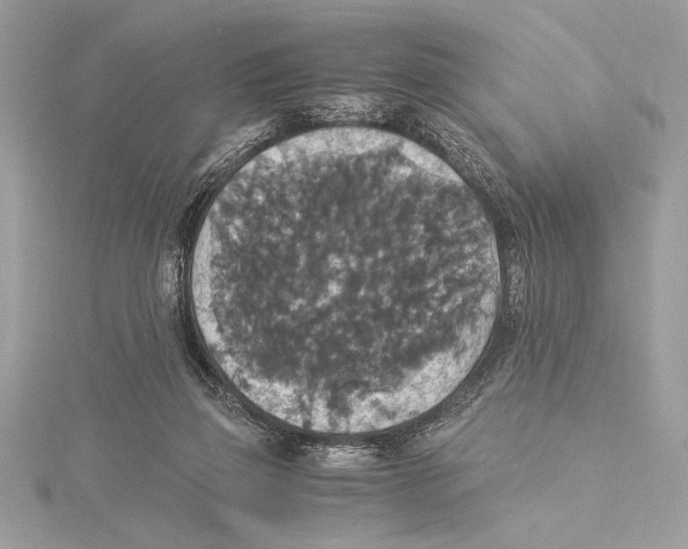 X0000115350165200912011059