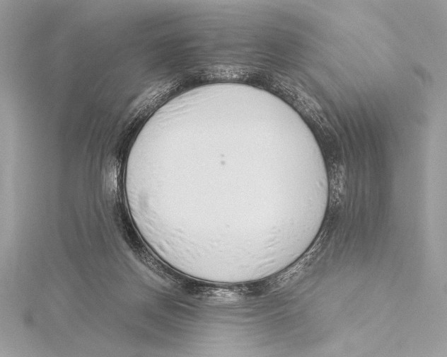 X0000115350166200912011059