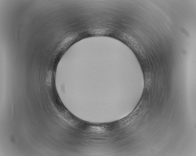 X0000115350167200912011059