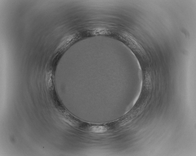 X0000115350169200912011059