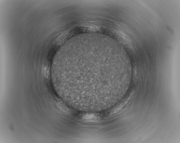 X0000115350177200912011059