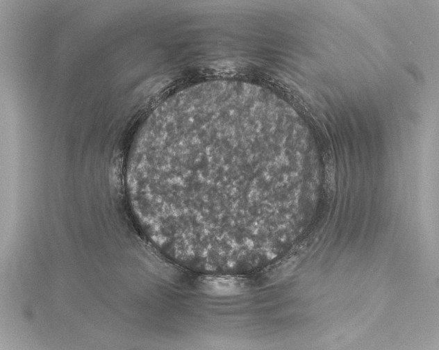 X0000115350181200912011100