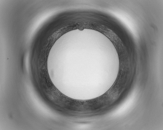 X0000115350189200912011100