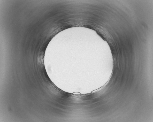 X0000115350190200912011100