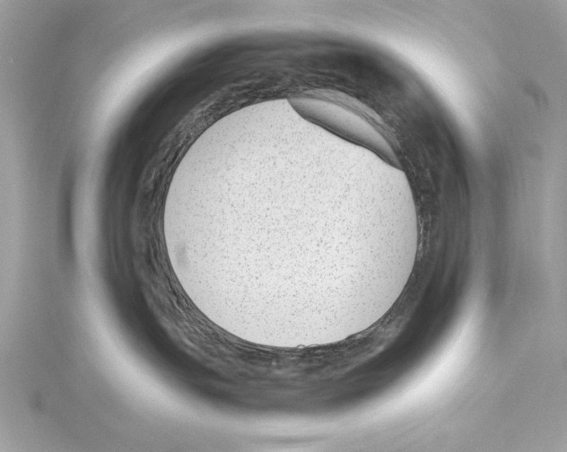 X0000115350191200912011100