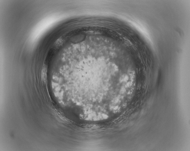 X0000115350195200912011059