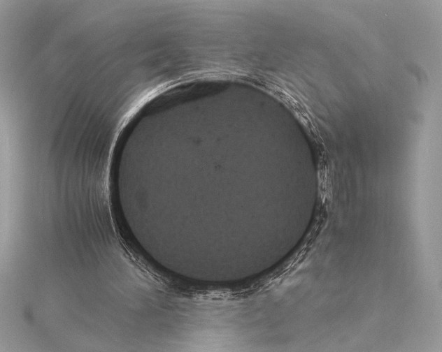 X0000115350196200912011059