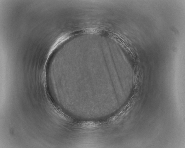 X0000115350198200912011059