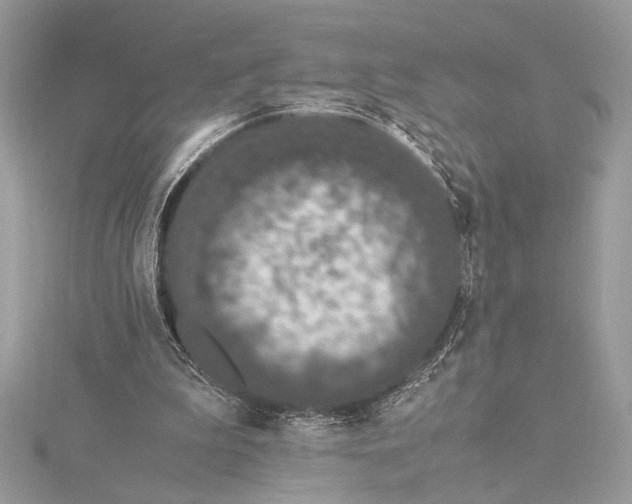 X0000115350199200912011059