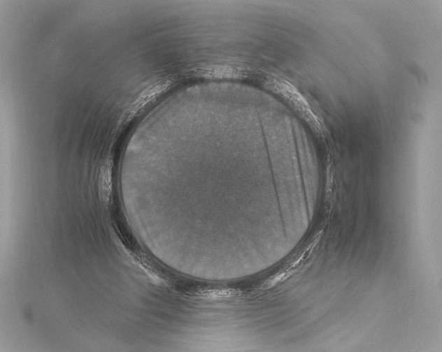 X0000115350202200912011059