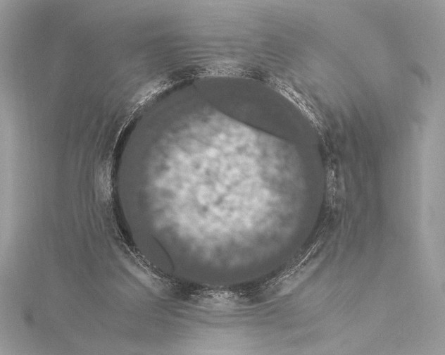 X0000115350203200912011059