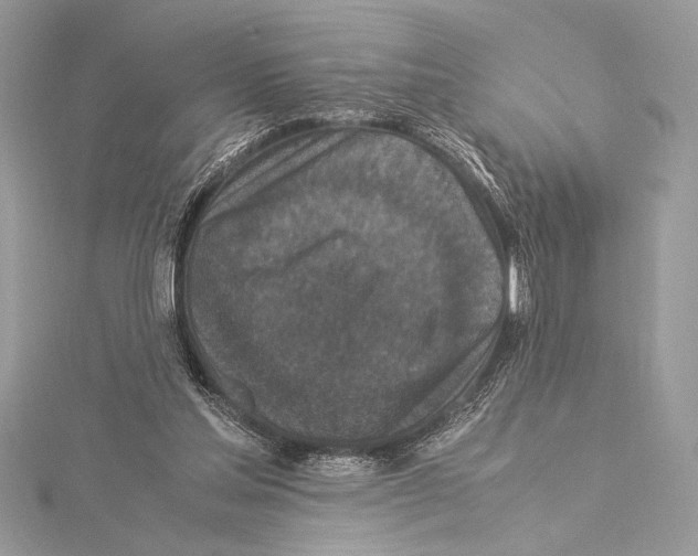 X0000115350205200912011059