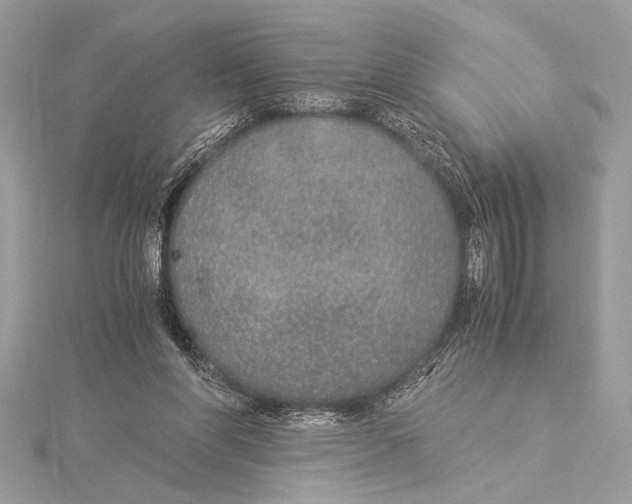 X0000115350206200912011059