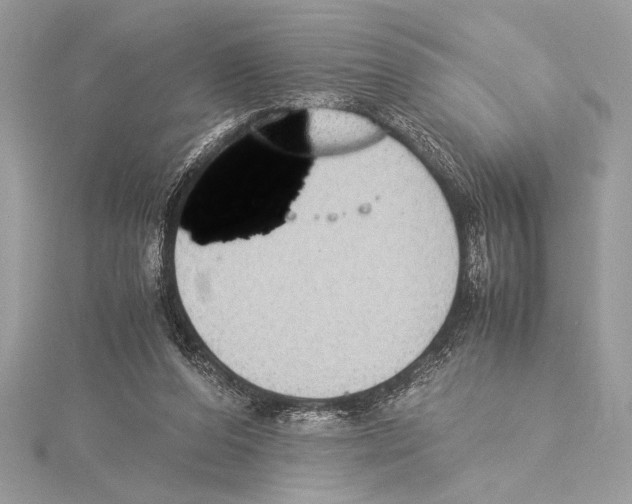 X0000115350208200912011059