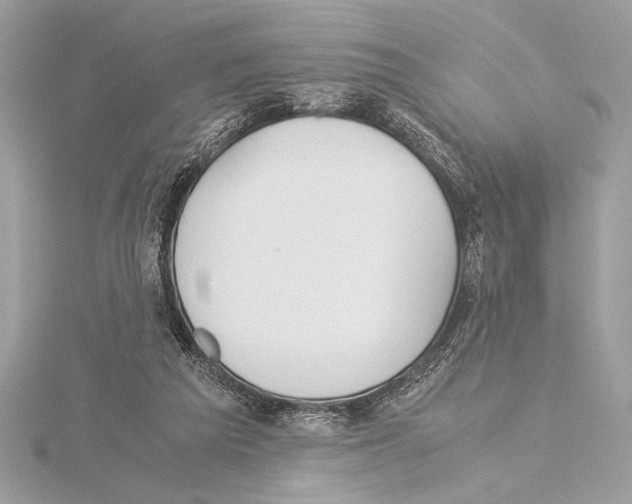 X0000115350209200912011059