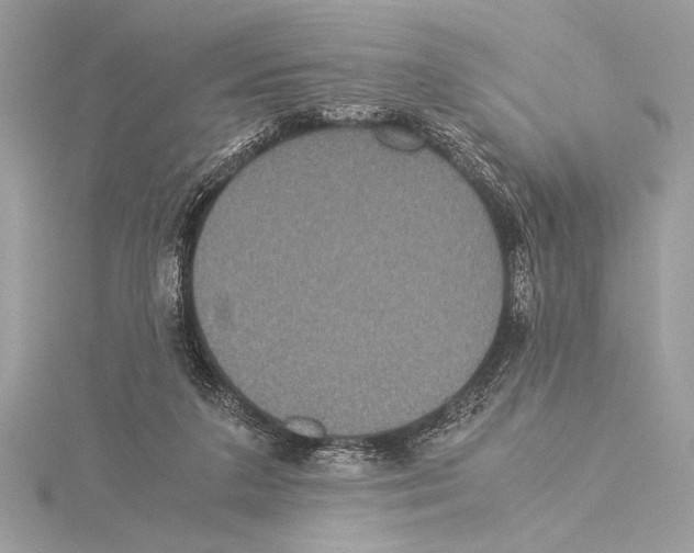 X0000115350211200912011059