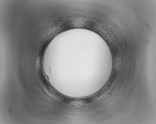 X0000115350213200912011059