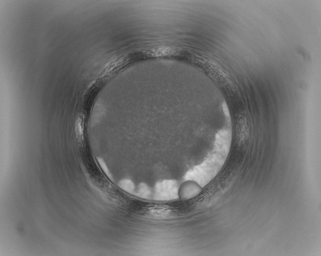 X0000115350214200912011059