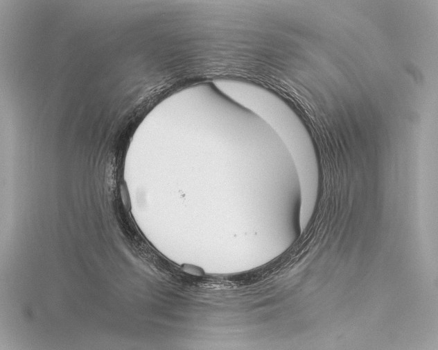 X0000115350215200912011059