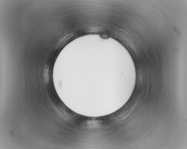 X0000115350216200912011059